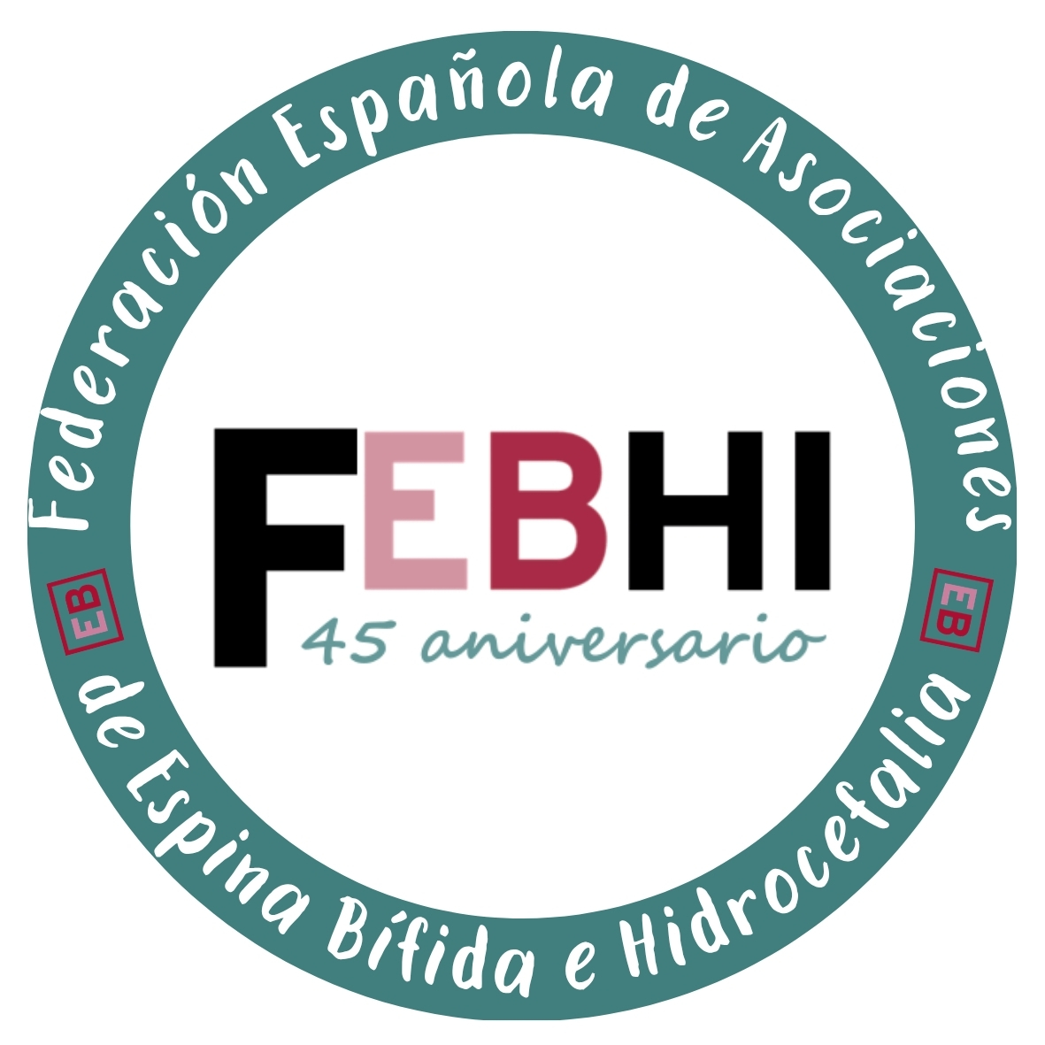 45º ANIVERSARIO DE FEBHI